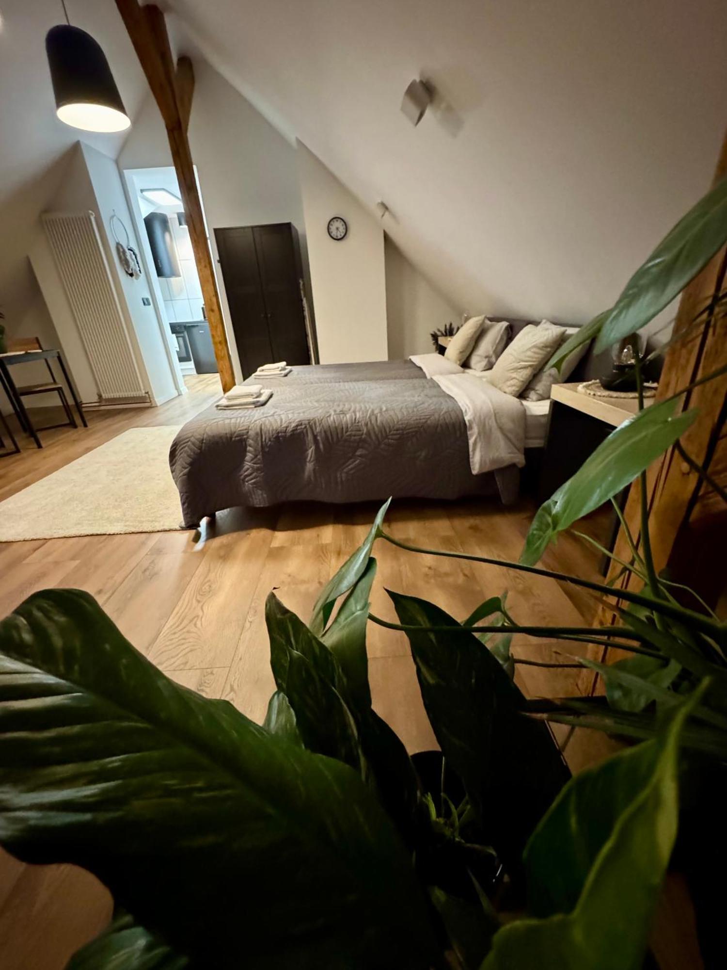 Apartamenty Astor - Ksiezycowy Щавно-Здруй Экстерьер фото